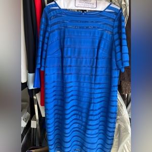 Beautiful Adrianna Papell Dress